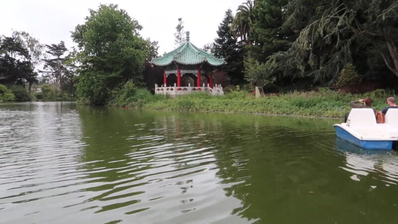 Paddle Boating at Stow Lake - Golden Gate Park