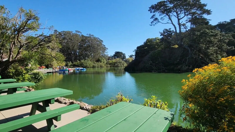 Stow Lake and Strawberry Hill san francisco